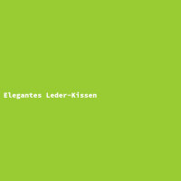 Elegantes Leder-Kissen